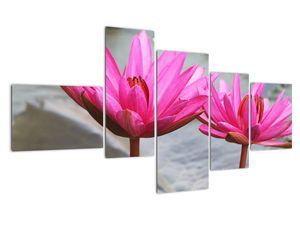 Modern kép - makró