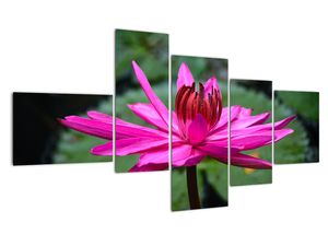 Modern kép - makró