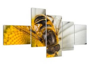 Modern kép - állatok