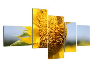 Modern kép - virágok 