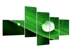 Modern kép - makró