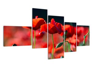 Modern kép - virágok