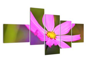 Modern kép - virágok