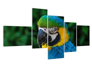 Modern kép - állatok