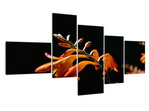 Modern kép - makró