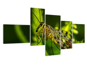 Modern kép - makró