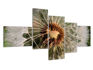 Modern kép - makró