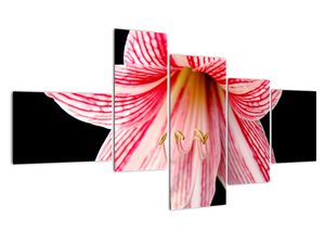 Modern kép - virágok 