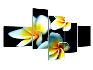 Modern kép - makró