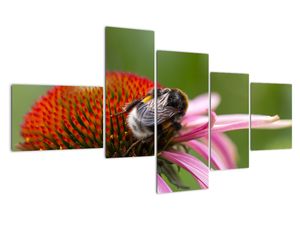 Modern kép - állatok