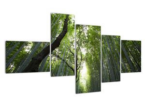 Modern képek - táj