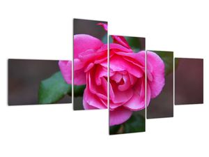 Modern kép - virágok