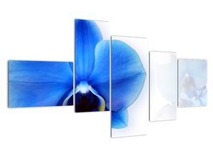 Modern kép - virágok