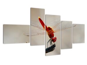 Modern kép - állatok