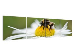Vászonkép