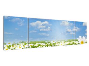 Modern kép - virágok 