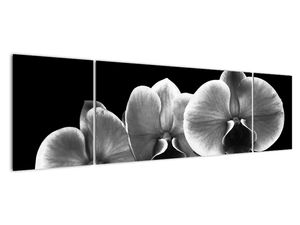 Modern kép - virágok 