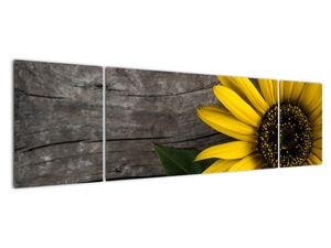 Modern kép - virágok 