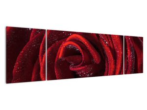 Modern kép - virágok 