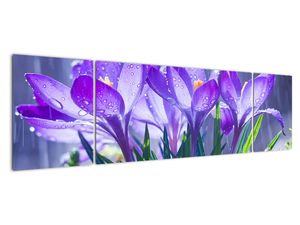 Modern kép - virágok 