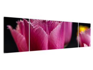 Modern kép - virágok 