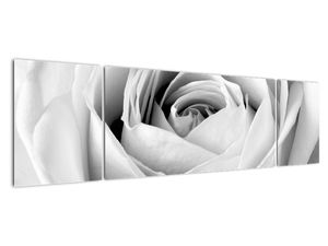 Modern kép - virágok 