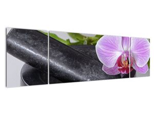 Modern kép - virágok 