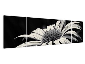 Modern kép - virágok 