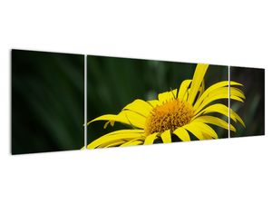 Modern kép - virágok 