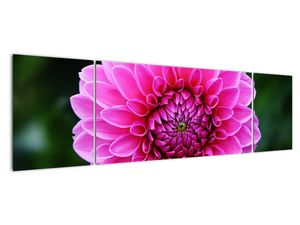 Modern kép - virágok 