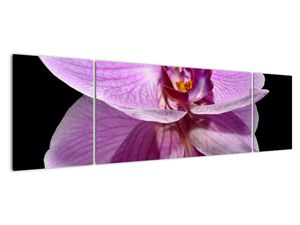 Modern kép - virágok 