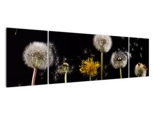 Modern kép - virágok 