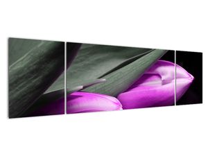 Modern kép - virágok 