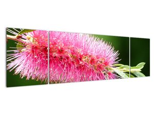 Modern kép - virágok 