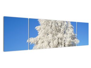 Modern képek - táj