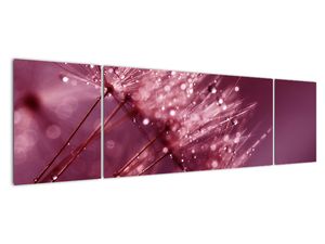 Modern kép - makró