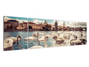 Modern kép - vidékek