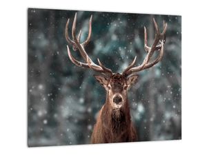 Modern kép - állatok