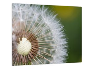 Modern kép - virágok 