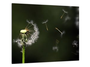 Modern kép - virágok 