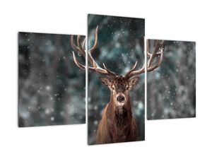 Modern kép - állatok