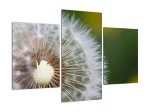 Modern kép - virágok 