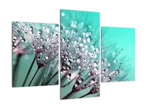 Modern kép - makró