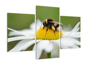 Modern kép - virágok 