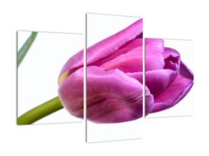 Modern kép - virágok 