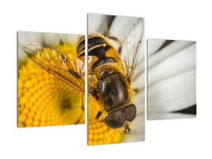 Modern kép - állatok