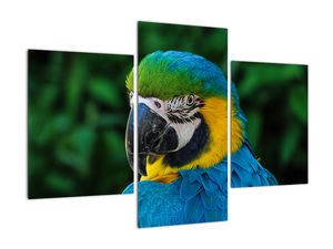 Modern kép - állatok