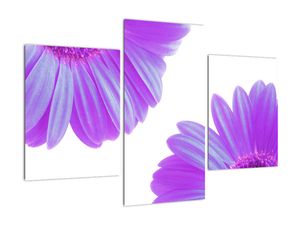 Modern kép - virágok