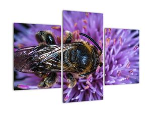 Modern kép - állatok