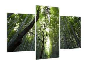 Modern képek - táj